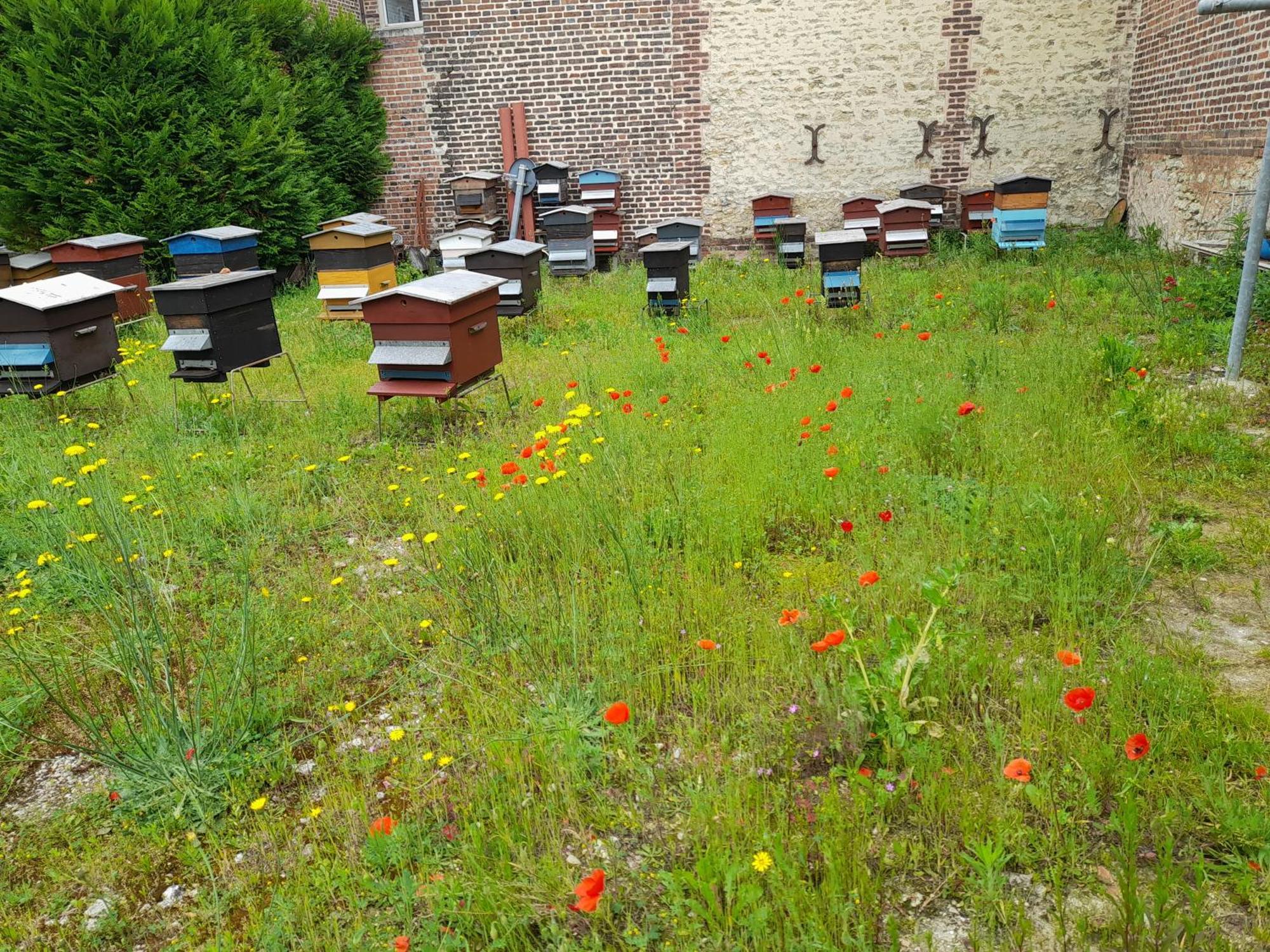 Studio Danton Troyes Exterior photo